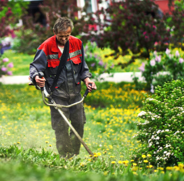 Gartenpflege